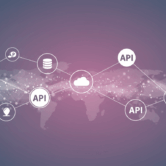 Custom Software & Integrations Image Prompt