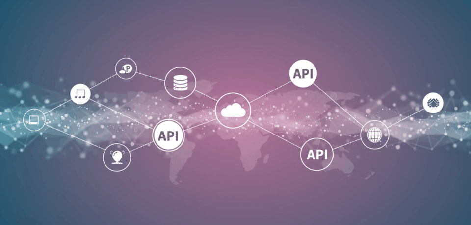 Custom Software & Integrations Image Prompt