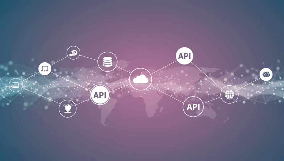 Custom Software & Integrations Image Prompt